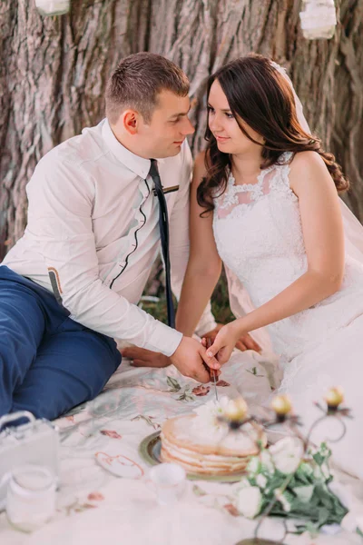 Casal feliz casal corte bolo olhando um para o outro sentado em xadrez sob a árvore no parque de primavera — Fotografia de Stock