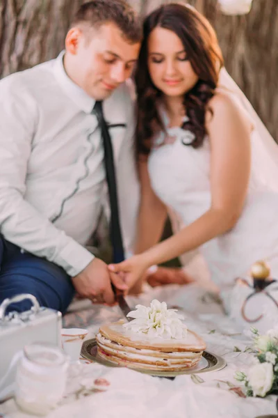 Szczęśliwy ślub para o piknik cięcia ciasta siedzi na kratę pod drzewem w parku wiosny — Zdjęcie stockowe