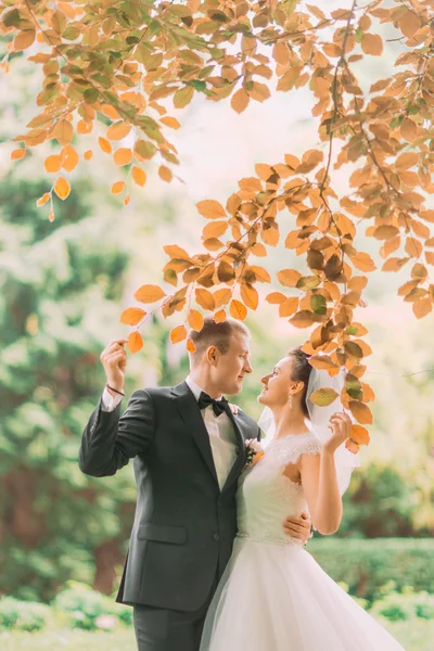 幸せな秋の木の近くの結婚式の日に新郎新婦の笑顔 — ストック写真