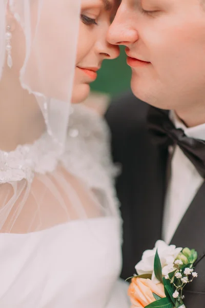 Close up portrait of wedding couple touching noses outdoors — Stock Photo, Image