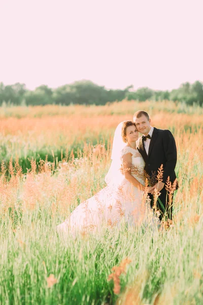 Junges schönes Hochzeitspaar umarmt sich auf einem Feld mit Grasohren — Stockfoto