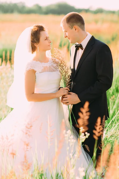 Joven hermosa boda pareja lokding manos cara a cara en un campo con orejas de hierba —  Fotos de Stock