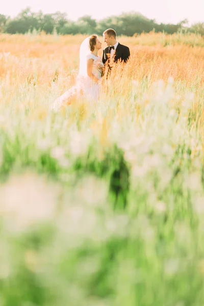 Jovem lindo casamento casal abraçando olhando um para o outro em um campo com grama encravada — Fotografia de Stock