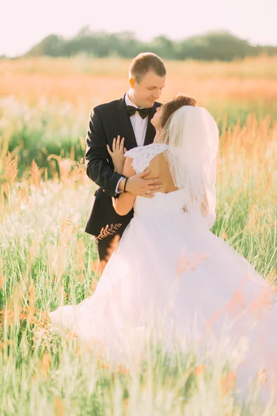 Jovem lindo casamento casal abraçando em um campo com grama encravada — Fotografia de Stock