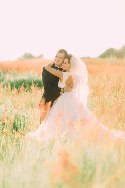 年轻美丽的婚礼夫妇在草地场中拥抱耳 — 图库照片