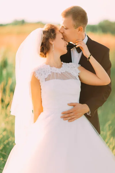 Jovem noivo bonito beijando a testa de sua bela noiva em um campo com grama encravada — Fotografia de Stock
