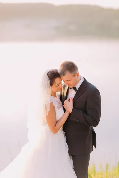 Romantic bride and groom embracing on the nature, in the background lake — Stock Photo, Image