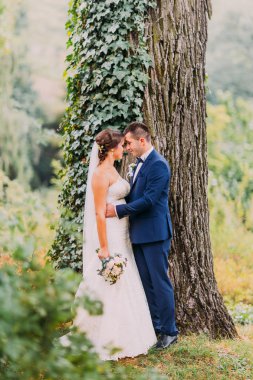 Romantik yeni evli çift park Ivy creeped ağacın altında öpüşme