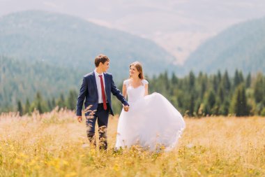 Forest Hills arka plan olarak altın güneşli alan üzerinde yürüyen güzel genç Düğün çifti