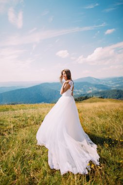Altın sonbahar alanının arkasında muhteşem dağ manzarası ile poz gelin
