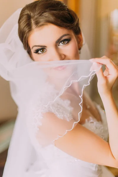 Hermosa novia en vestido de novia blanco posando con velo en el interior. Retrato femenino en vestido de novia para el matrimonio — Foto de Stock