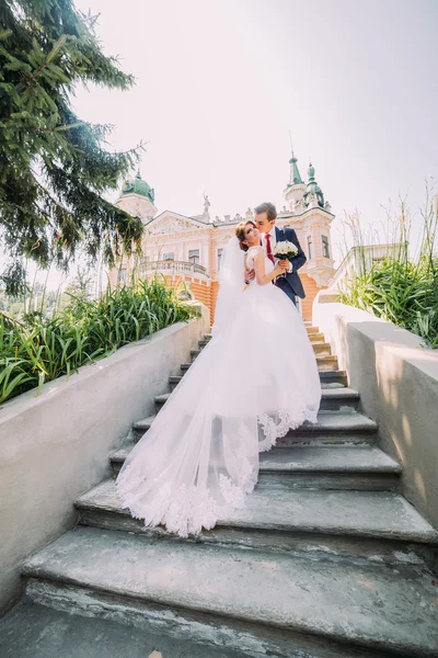 Retrato de elegante jovem casal de casamento elegante em escadas no parque. Groom está beijando sua nova esposa, palácio antigo romântico no fundo — Fotografia de Stock