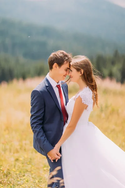 Happy young newlyweds on sunny field with forest background — Stock Photo, Image