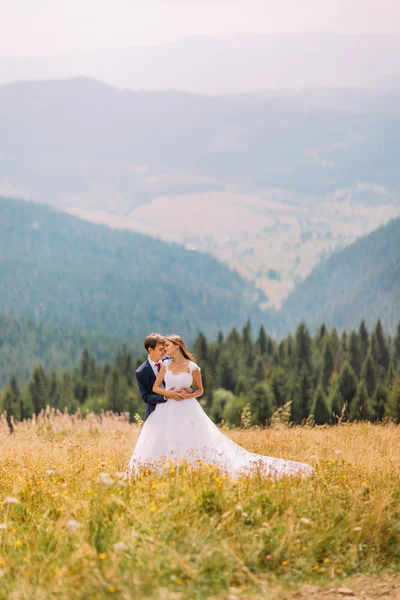 Pareja de boda de moda y feliz en el campo soleado con fondo de bosque — Foto de Stock