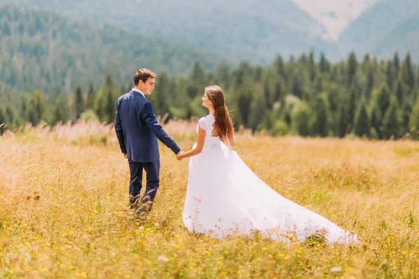 若い結婚式のカップルが森の背景と日当たりの良いフィールドの上を歩きます。背面図 — ストック写真
