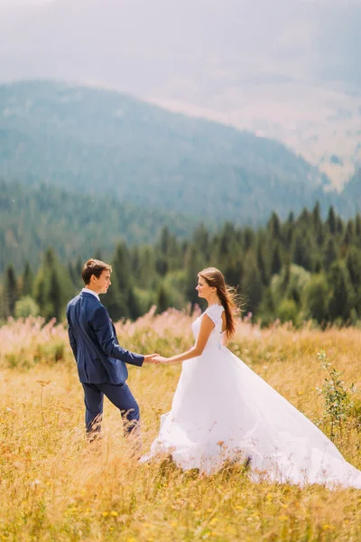 Bella giovane coppia di nozze a piedi sul campo soleggiato con colline forestali come sfondo — Foto Stock