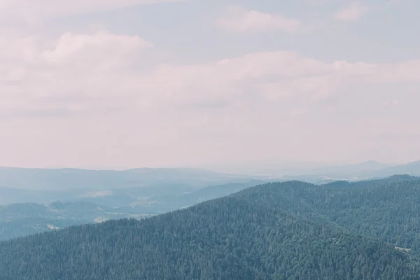 Karpaten pine forest hills landschap onder majestueuze blauwe hemel met enkele hoge wolken — Stockfoto