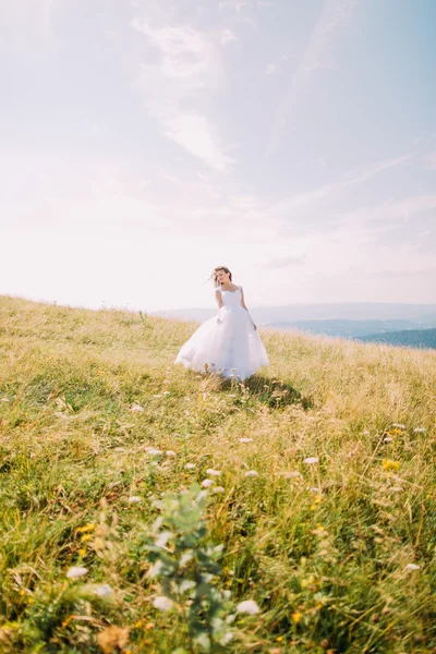 Sposa romantica in posa sul campo d'oro autunno con piccoli fiori. Paesaggio collinare sullo sfondo — Foto Stock