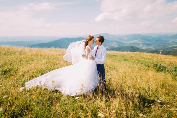 Hermosa pareja de boda joven besándose en el campo soleado ventoso con colinas del bosque distantes como fondo —  Fotos de Stock