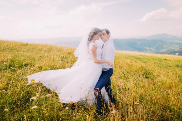 Giovane coppia di nozze posa uder spose velo sul campo soleggiato ventoso con colline forestali lontane come sfondo — Foto Stock