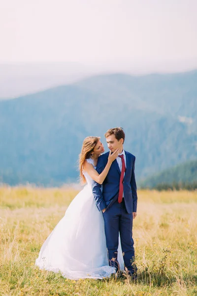 Pareja de bodas jóvenes posando en un campo soleado con colinas forestales distantes como fondo. Hermosa novia va a besar a su novio handsom —  Fotos de Stock