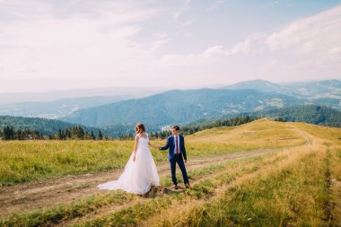 Forest Hills arka plan olarak sarı güneşli araziyi yolda yürürken Romantik Çift