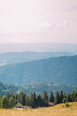 Karpat çam orman hills, yatay, ön plan üzerinde birkaç binalar