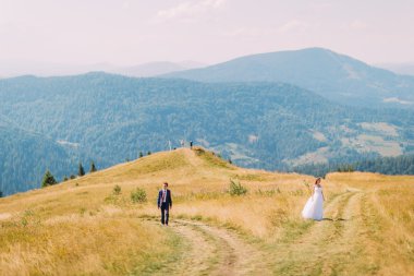 Güzel genç düğün çift arka plan olarak inanılmaz orman tepeleri ile altın güneşli alan boyunca yolda yürüyüş