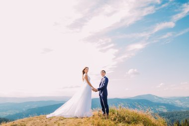 Güzel yeni evliler arka plan olarak orman dağları ile tepenin üstünde ellerini tutarak