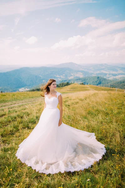 Romantisk brud poserar på fältet grön och gul med små blommor. Kullen landskap i bakgrunden — Stockfoto