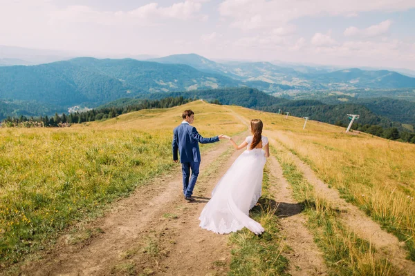 Elegante coppia vestita a piedi sul sentiero attraverso romantico campo di sole giallo con colline forestali come sfondo. Vista posteriore — Foto Stock