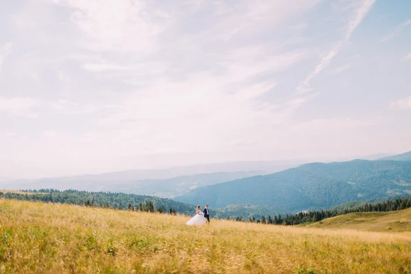 Vue du champ d'été jaune doré avec deux jeunes gens romantiques marchant dessus. Majestueuses collines forestières sous un ciel ensoleillé étonnant en arrière-plan — Photo