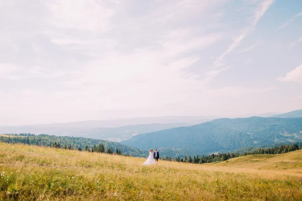 Vista del campo estivo dorato con due giovani romantici che camminano. maestose colline boschive sotto cielo soleggiato mozzafiato sullo sfondo — Foto Stock