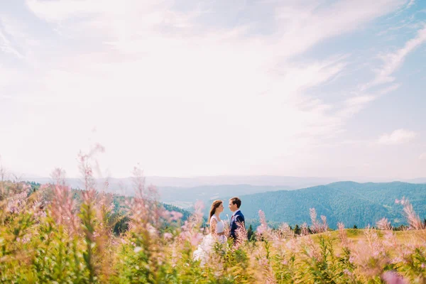 Dois amantes - menina bonita jovem em vestido branco e o seu homem bonito, disparado no prado. Flores de campo em primeiro plano — Fotografia de Stock