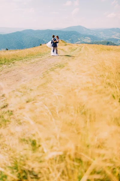 Groom segurando sua esposa hew a mãos no campo ensolarado amarelo com colinas distantes da floresta como fundo — Fotografia de Stock