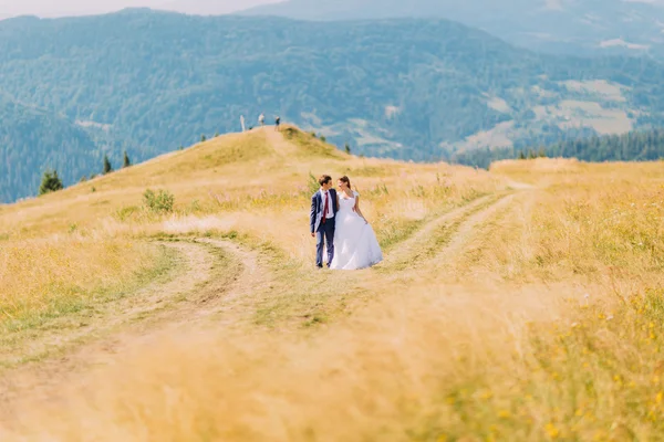 Όμορφο νεαρό ζευγάρι γαμήλιο περπάτημα από το μονοπάτι σε χρυσαφί ηλιόλουστο χωράφι με το δάσος λόφους ως φόντο — Φωτογραφία Αρχείου