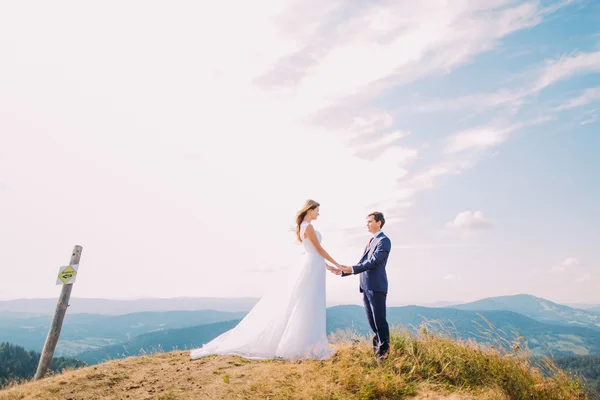 Hermosos recién casados sosteniendo amorosamente sus manos en la cima de la colina con montañas forestales como fondo —  Fotos de Stock