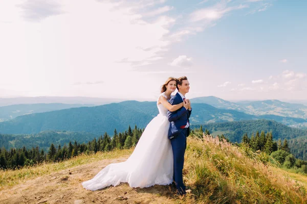 Retrato de hermosa recién casados sosteniéndose uno al otro en la cima de la colina cubierta de hierba con montañas forestales y cielo soleado como fondo —  Fotos de Stock