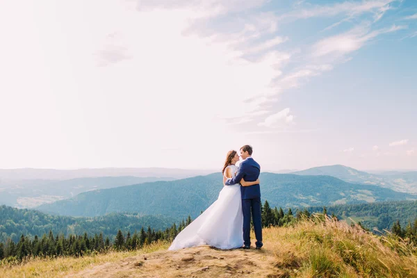 森の山々を背景に丘の上でお互いを優しく抱き合う美しい新婚夫婦の肖像画 — ストック写真