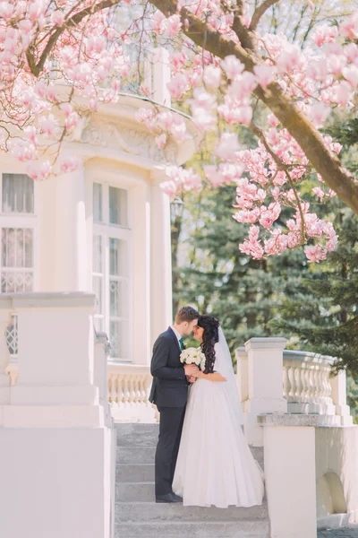 Mariée et marié s'embrassant dans les escaliers sous un magnolia en fleurs. Bâtiment vintage en arrière-plan — Photo