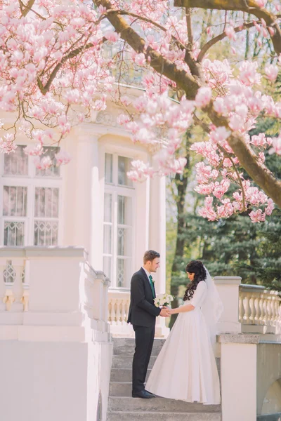 Mariés et mariés ont romantique parler sur les escaliers sous magnolia florissant arbre. Bâtiment vintage en arrière-plan — Photo