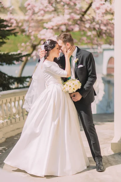 Hermoso beso romántico de la pareja recién casada en la terraza en el jardín soleado —  Fotos de Stock