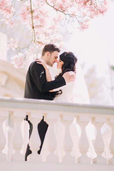 Momento romântico de belo casal recém-casado no terraço no jardim ensolarado sob ramos de árvore de magnólia florescentes — Fotografia de Stock