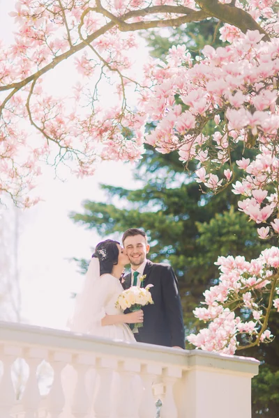 Beau couple de jeunes mariés sur la terrasse dans un jardin ensoleillé sous des branches de magnolia en fleurs. La mariée embrasse la joue du marié — Photo