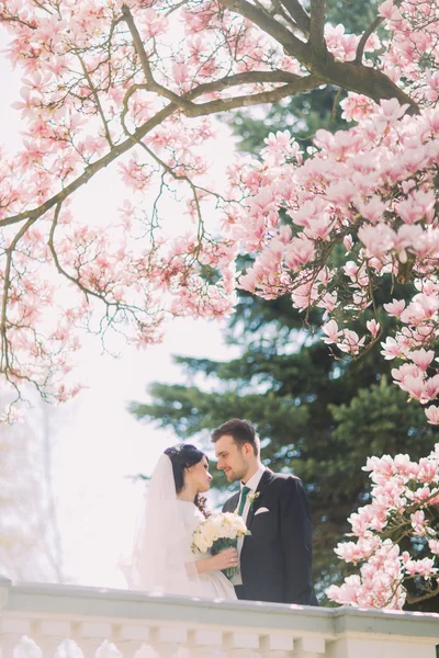 Momento romântico de casal recém-casado bonito no terraço no jardim ensolarado sob ramos de árvores de magnólia florescentes — Fotografia de Stock