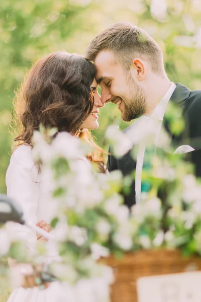 公園で幸せな若い新婚カップル。額で触れるロマンチックなティーンエイジャー — ストック写真