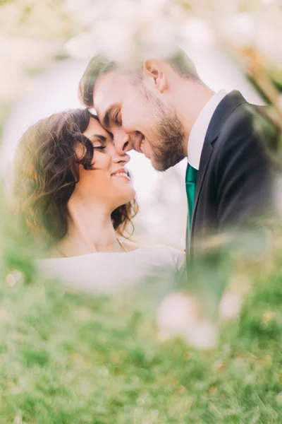 Lyckliga unga nygifta i parken. Romantiskt par röra vid pannor — Stockfoto