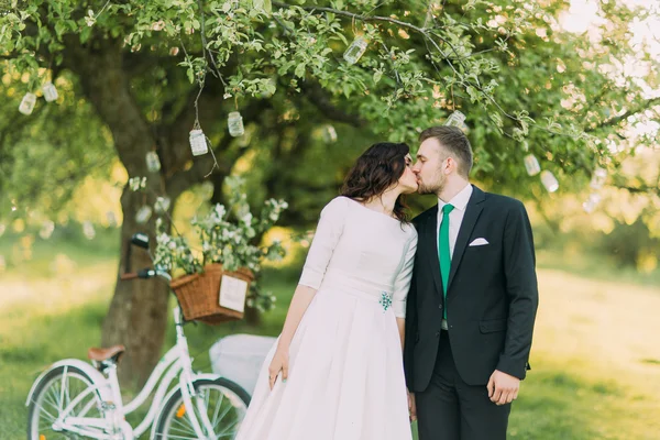 緑の日当たりの良い公園の芝生にキス幸せな新婚夫婦。背景に装飾された木の近くの自転車 — ストック写真