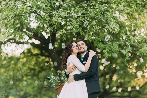 Mooie bruid en bruidegom in een park houden onder boom versierd met vele lantaarns — Stockfoto