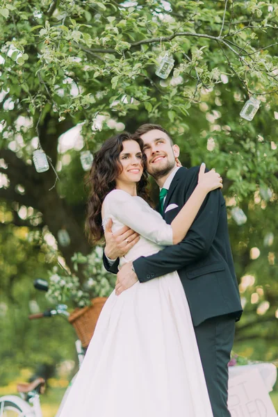 Noiva amada e noivo em um parque segurando sob a árvore decorada com muitas lanternas — Fotografia de Stock